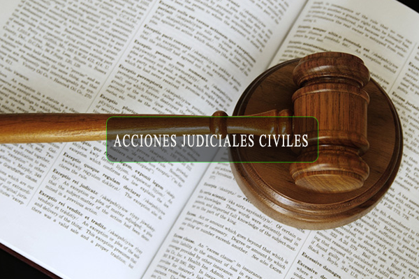 accion.civil.ggg