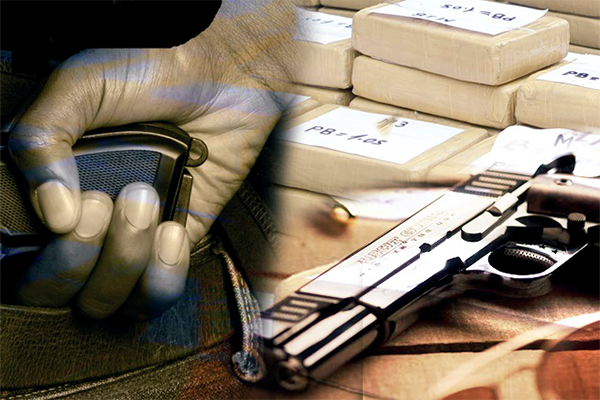 del.delin.orga del.delin.orga