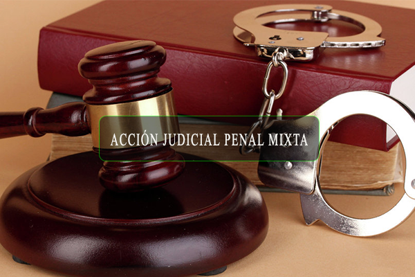 ACCION.PENAL.MIXTA.GGG ACCION.PENAL.MIXTA.GGG