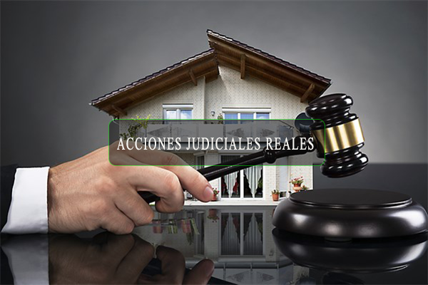 accion.REAL accion.REAL