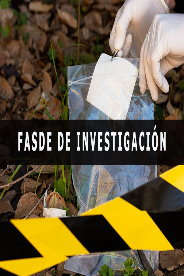 fase.investigacion