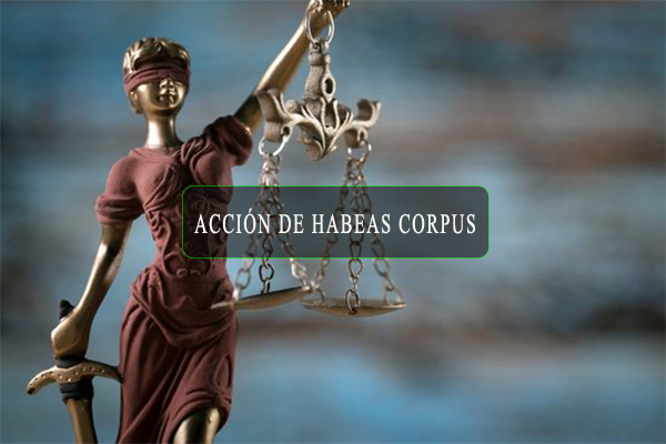 habeas.kkk habeas.kkk