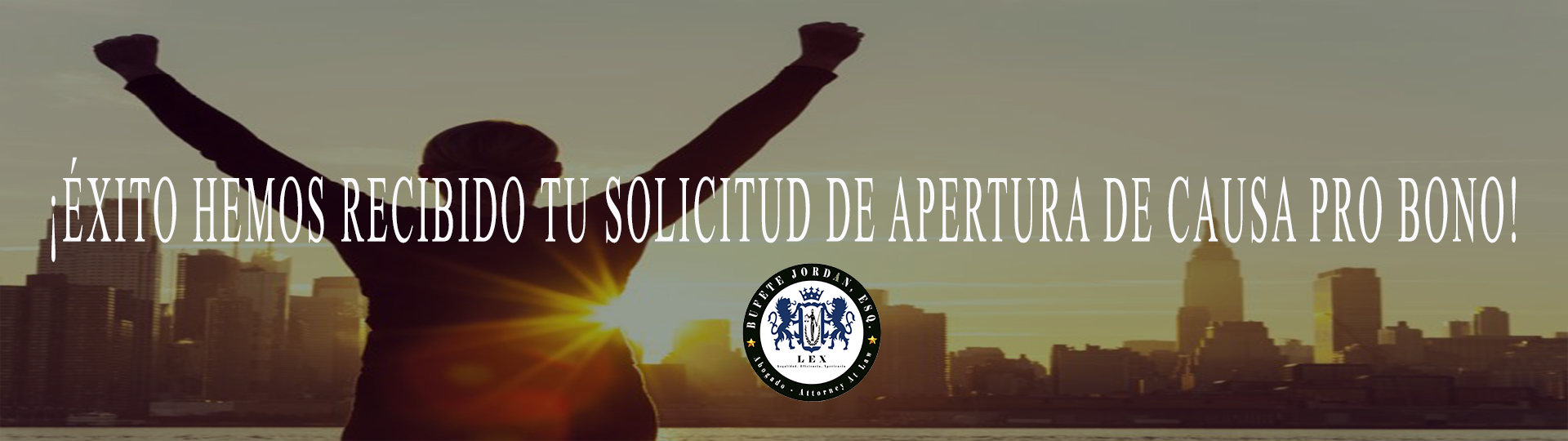 EXITO.pro.bono.banner.jjjj EXITO.pro.bono.banner.jjjj
