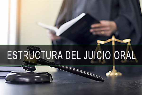 ESTRUC.JUICIO.ORAL.PNG.COMPLETO