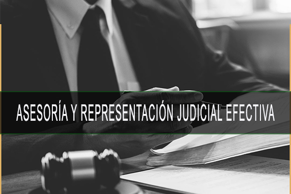 representacion.judicial.PNG.COMPLETO