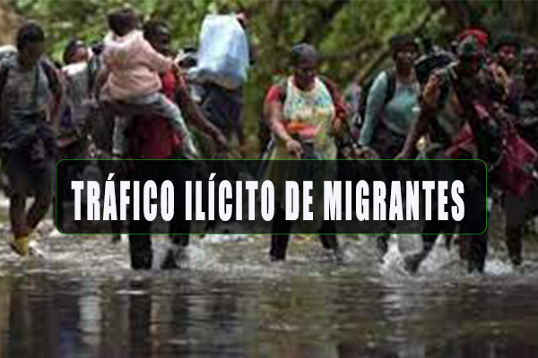 trafico.migrantes