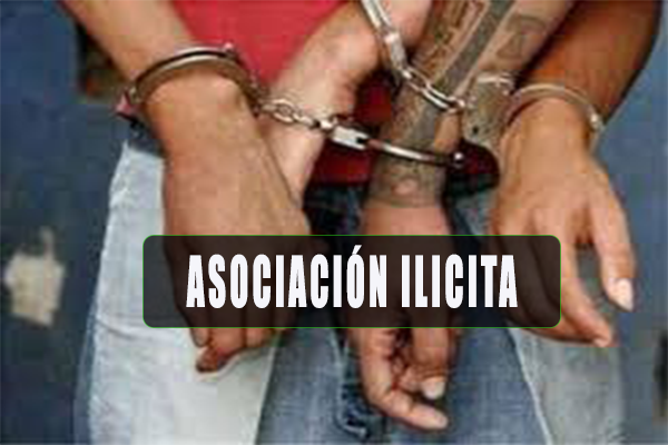 asociasion.ilicita