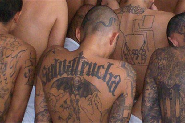 pandilla